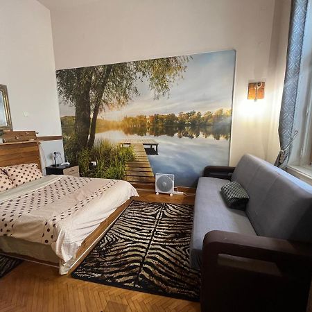 Apartament Ultracentral 2 Piata Muzeului Cluj-Napoca Buitenkant foto