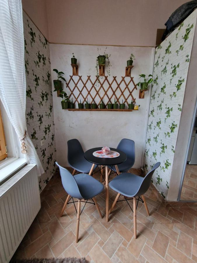 Apartament Ultracentral 2 Piata Muzeului Cluj-Napoca Buitenkant foto