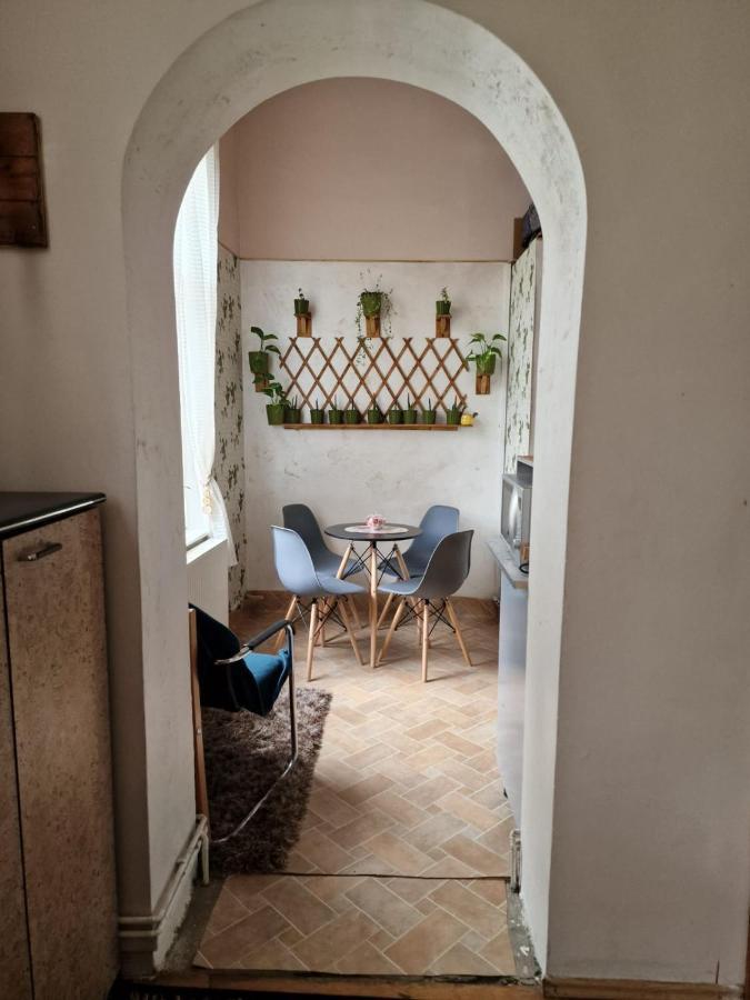 Apartament Ultracentral 2 Piata Muzeului Cluj-Napoca Buitenkant foto