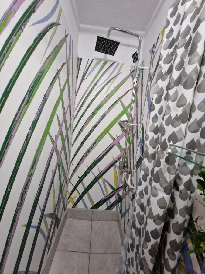 Apartament Ultracentral 2 Piata Muzeului Cluj-Napoca Buitenkant foto