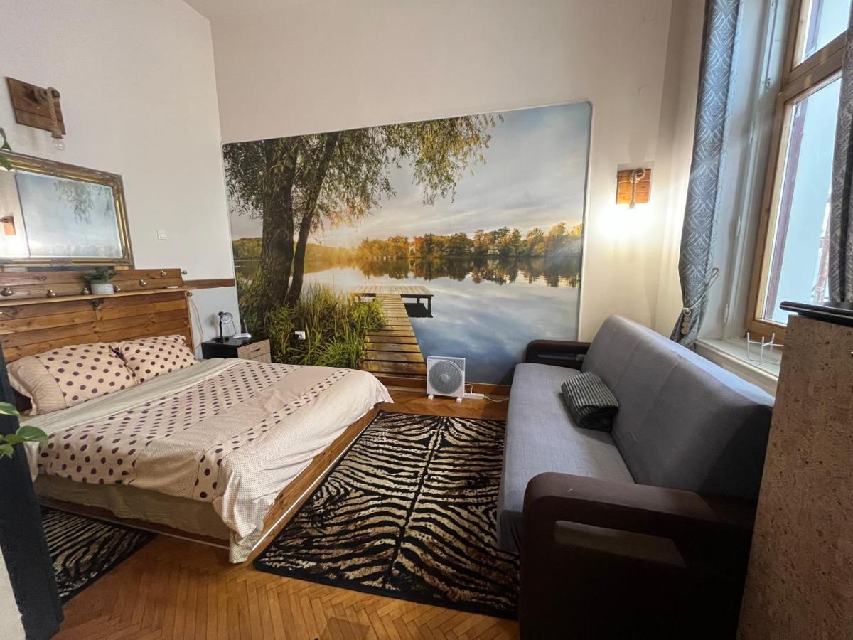 Apartament Ultracentral 2 Piata Muzeului Cluj-Napoca Buitenkant foto